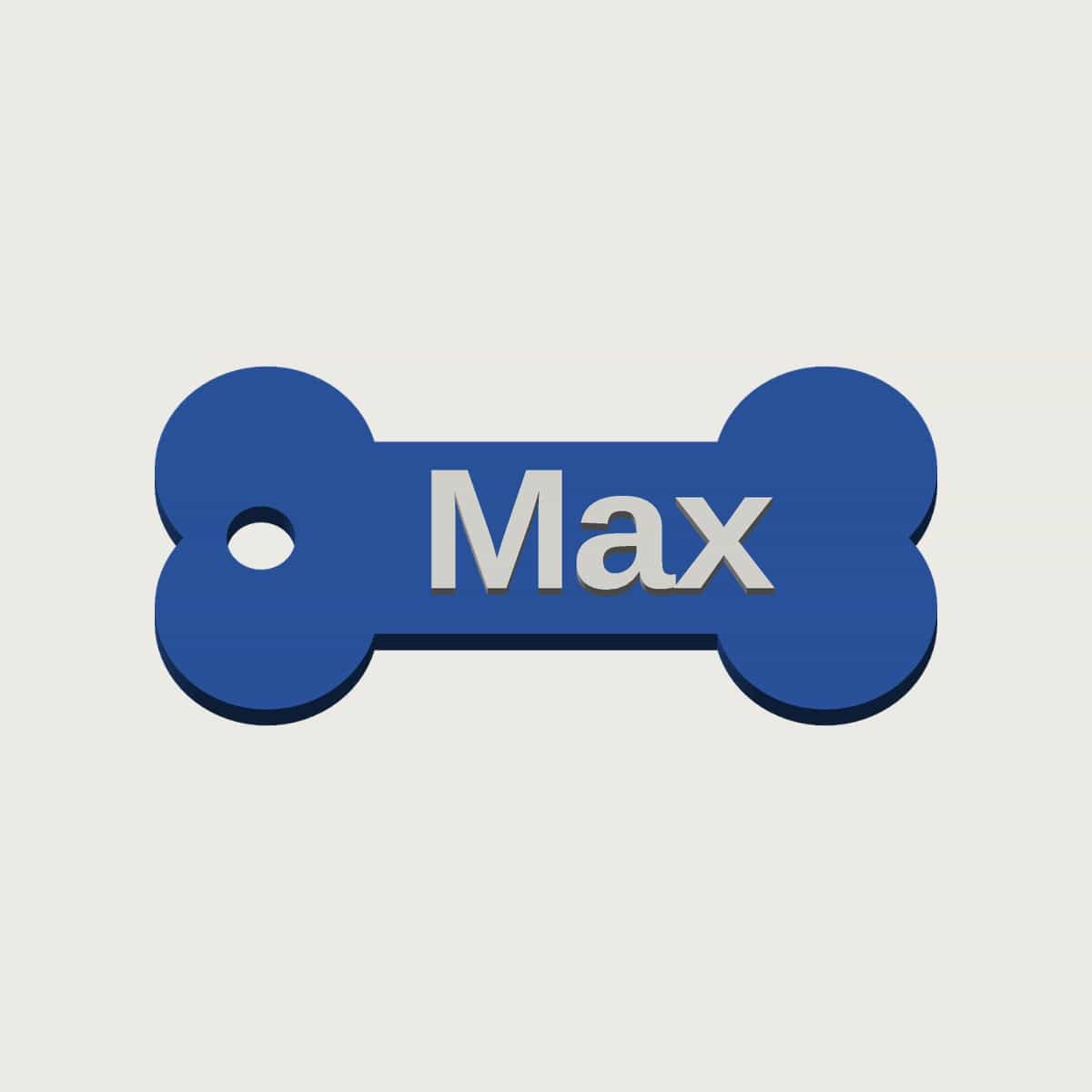 Personalised Pet Name Tag, image 4 of 6