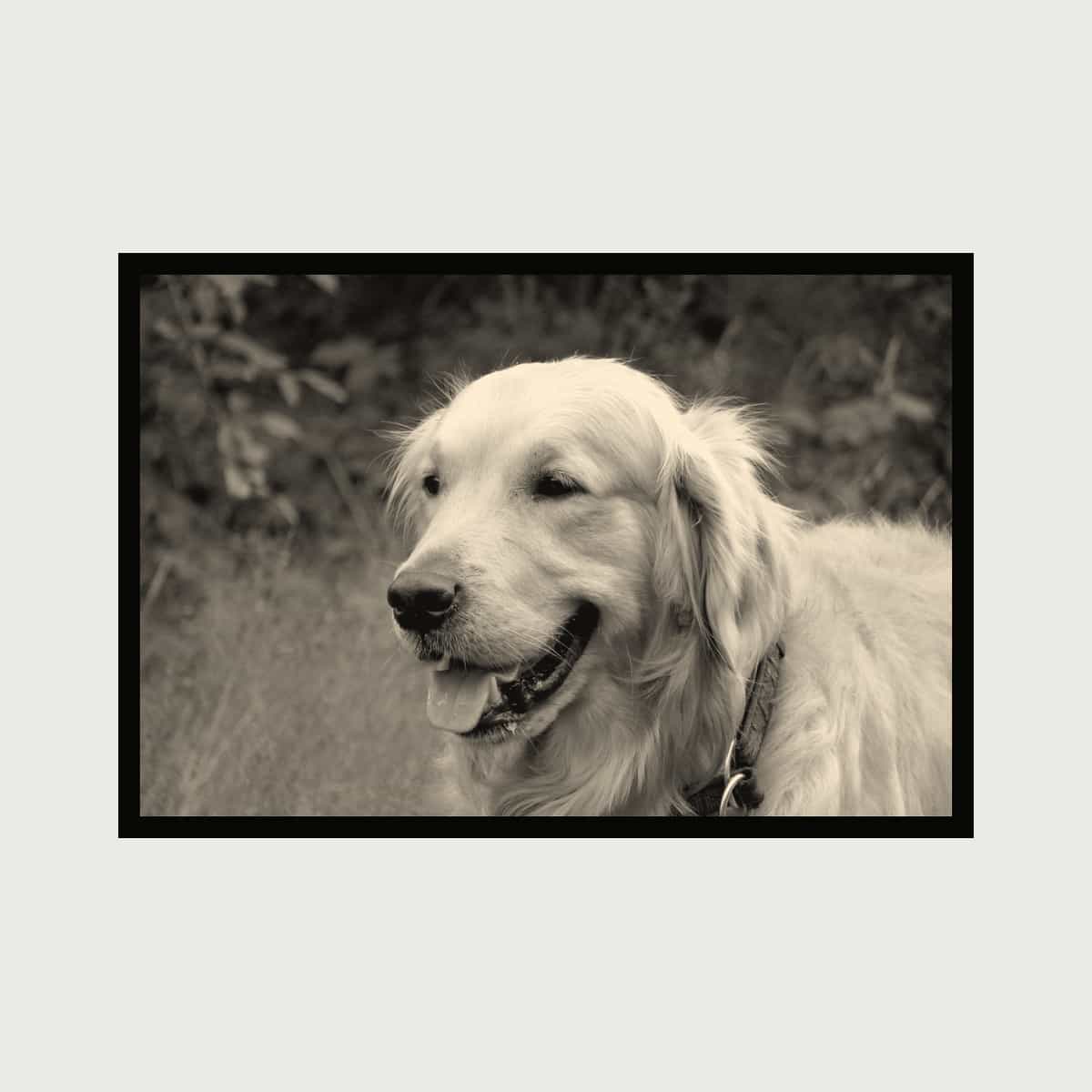 Photo Lithophane